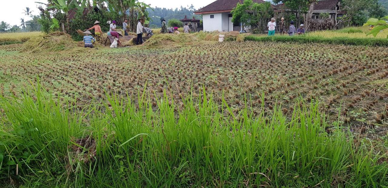 Dennis Holiday Bungalow Jasri Bagian luar foto